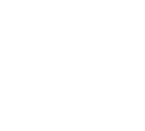 Salient Graphics